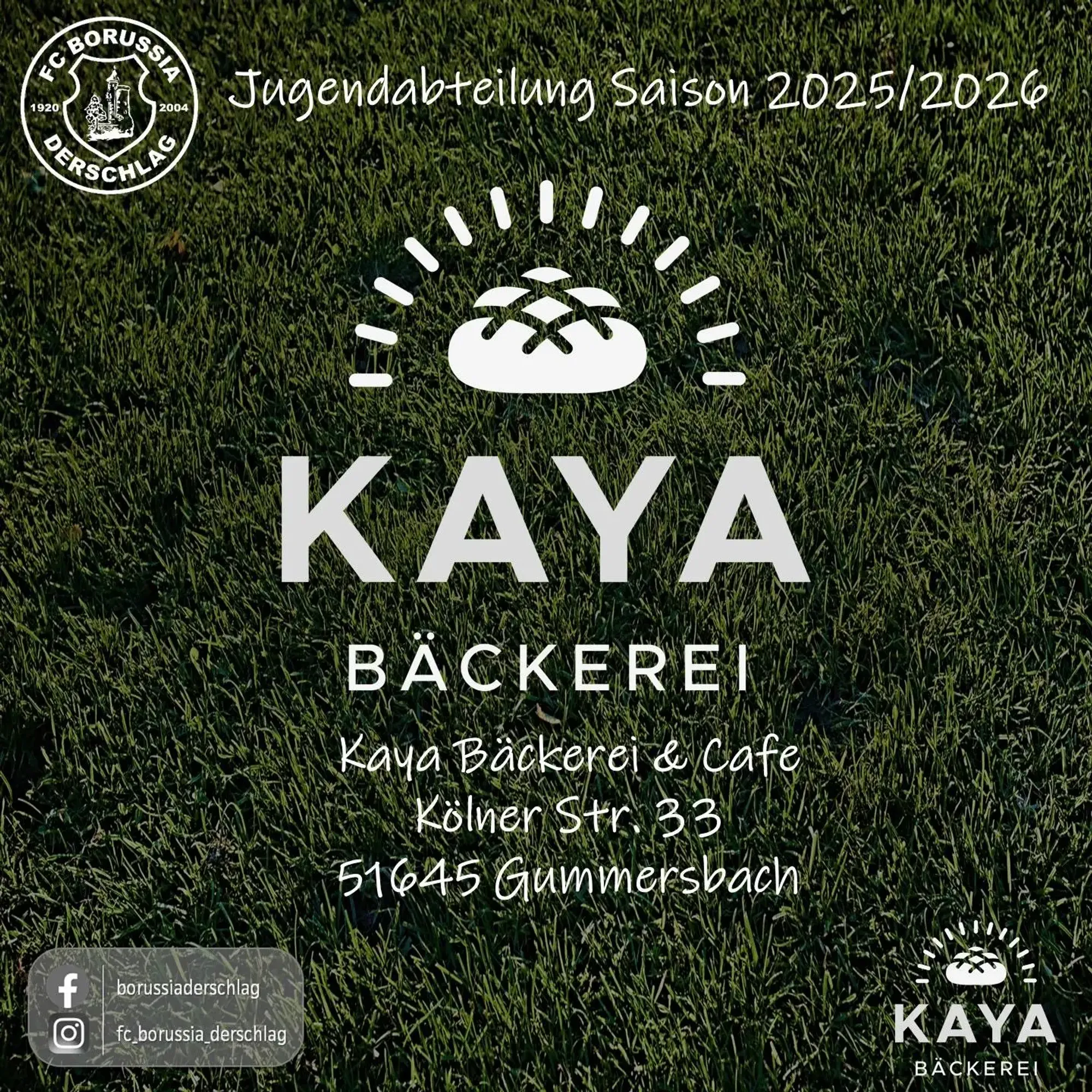 kaya.jpeg