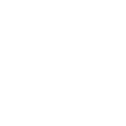 Kiwis & Brownies