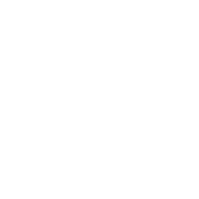 S&F